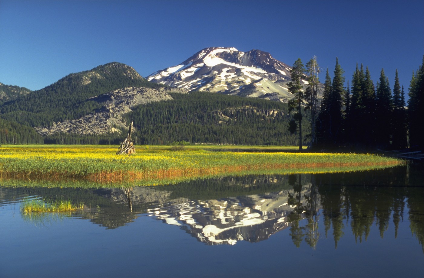 South Sister reflected in Sparks Lake, with evergreen trees and a green meadow along the water in Central Oregon